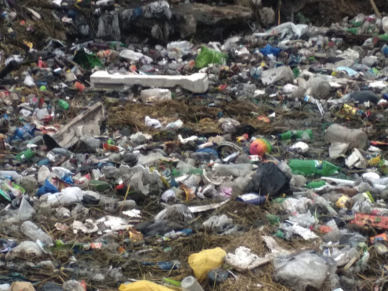 Waste Management Industry